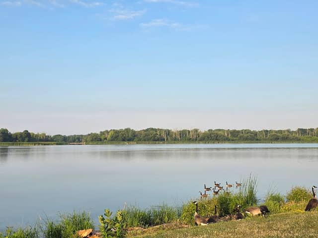 William Wingfield Park - Image 2