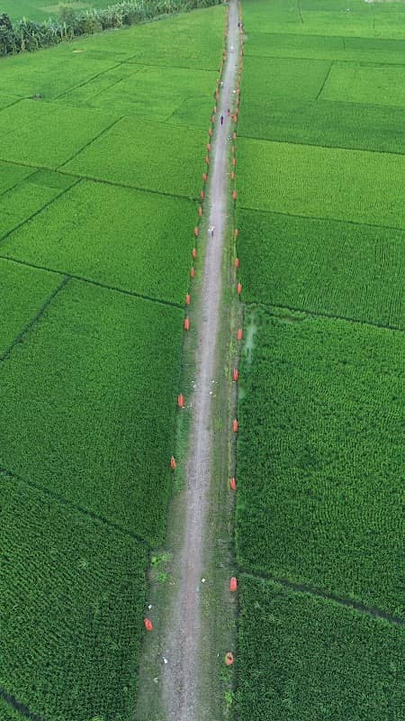 প্রকৃতি - Image 1