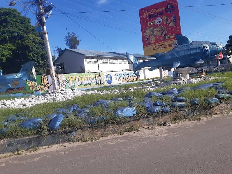 Shark Roundabout - Image 2