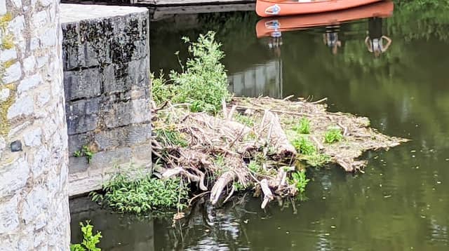 Vogelinsel - Image 2