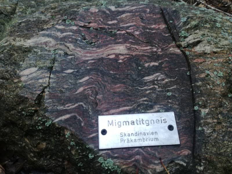 Stadtwald Senftenberg - Image 1