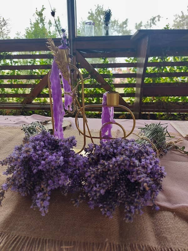 Livada cu Lavanda - Image 2