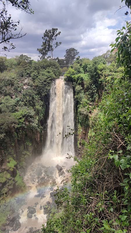 Nyahururu Forest - Image 2