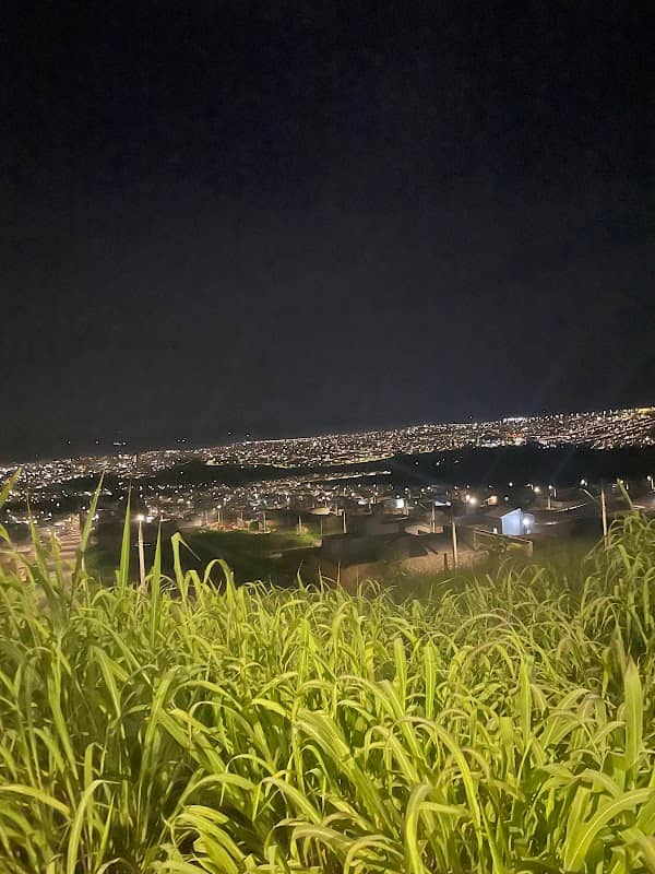 Vistas de patos - Image 1