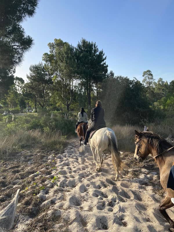Cabalgatas Arroyo Neptunia - Image 1