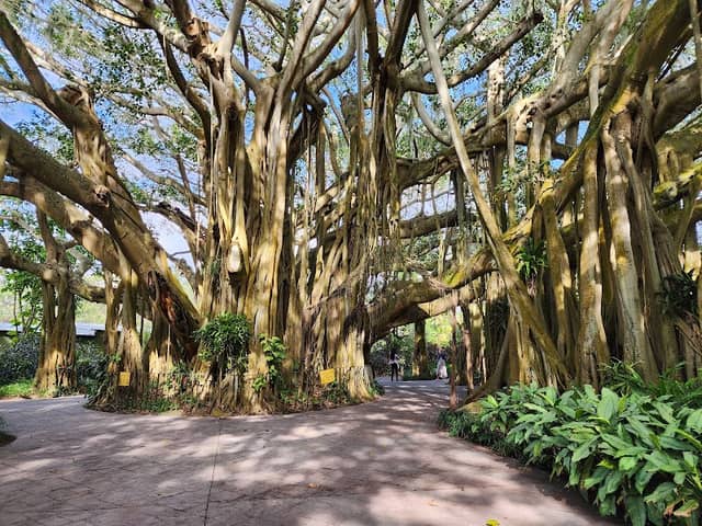 Cypress Gardens - Image 2