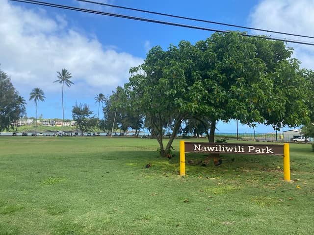 Nāwiliwili Park - Image 2