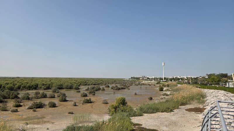 Al Mangrove - Image 1