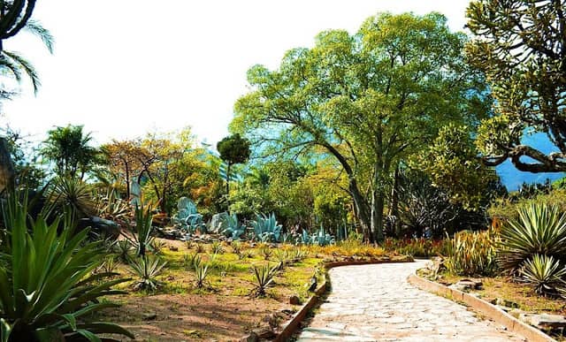 Parque Metropolitano - Image 1