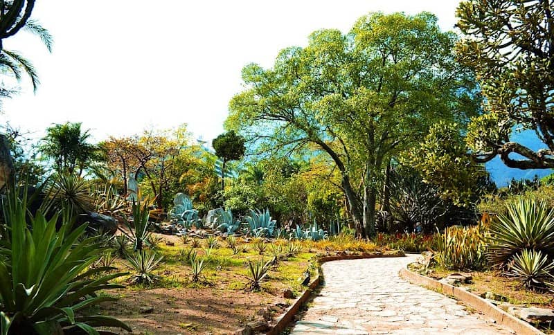 Parque Metropolitano - Image 1