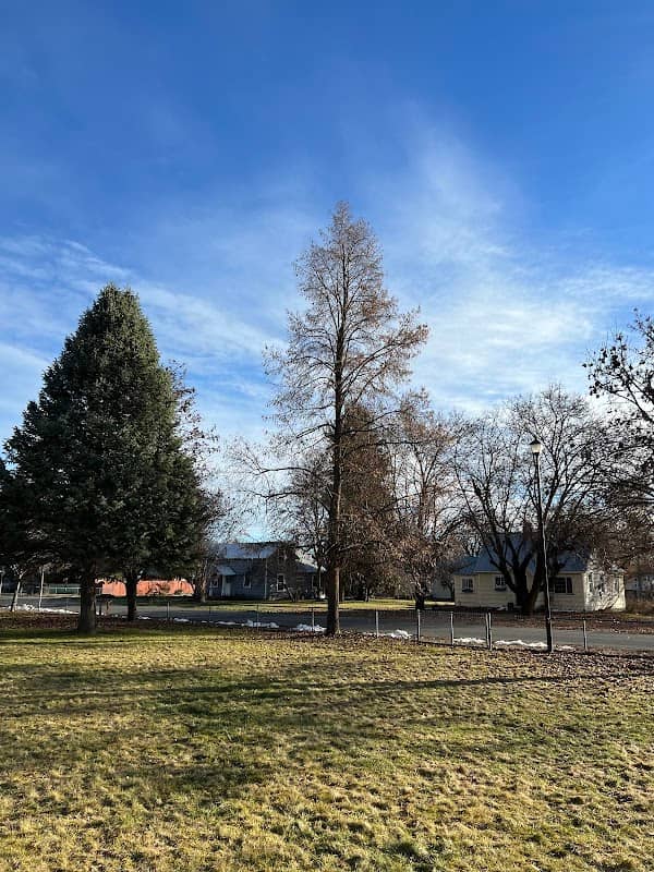 Central Park - Image 1