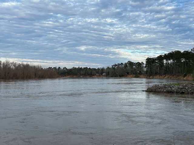 Apalachicola River Bristol, Florida - Image 1