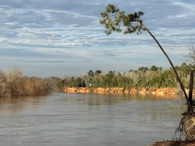 Apalachicola River Bristol, Florida - Image 2