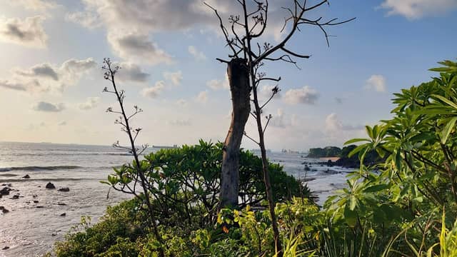 Playa Los Lagartos - Image 3