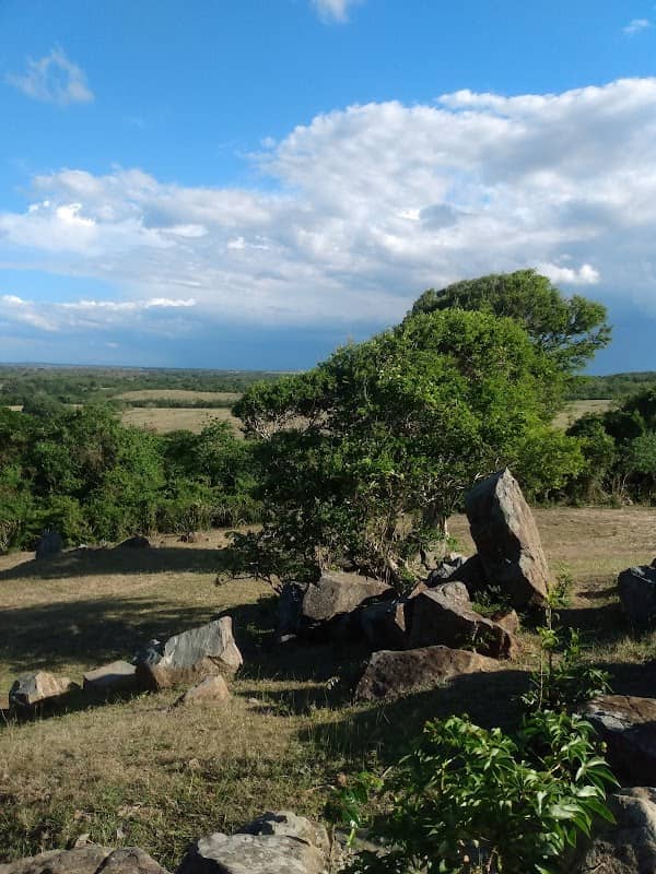Loma de las Margaritas - Image 1