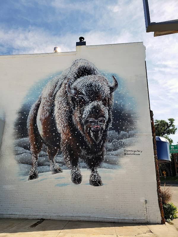 Buffalo - Image 2