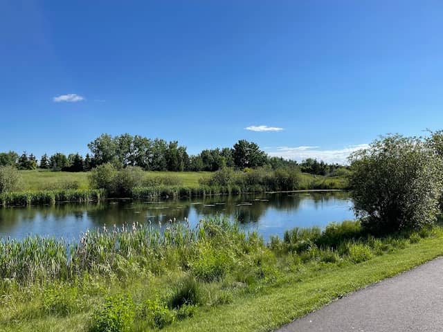 Ball Lake Park - Image 2