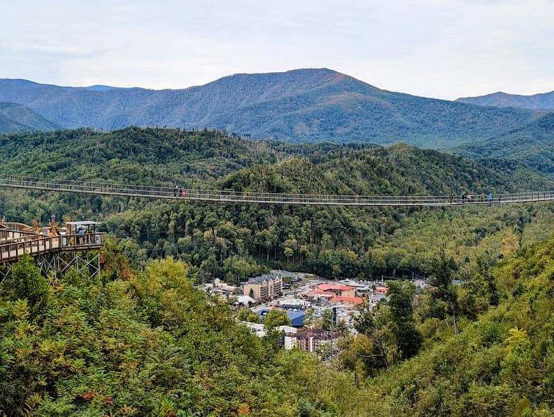 SkyTrail - Image 3