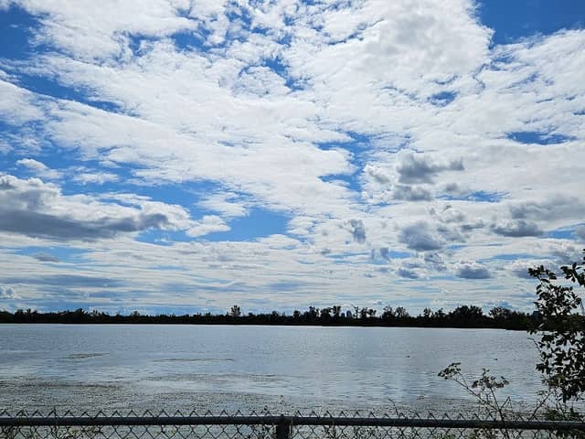 Parc du Pont Champlain - Image 2