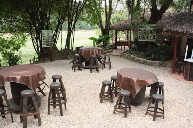 Tanama Jungle Ranch - Image 1