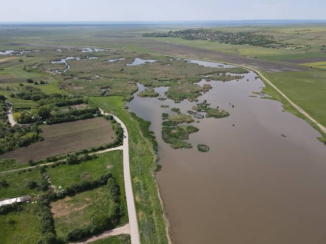 Delta (Întinsura) Călmățui - Image 2