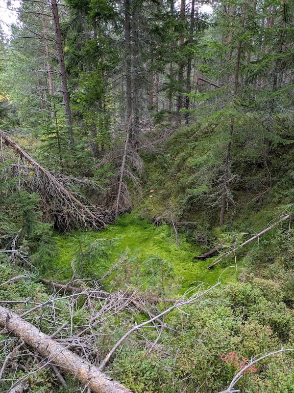 Flengruvan - Image 1