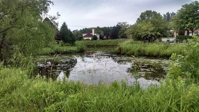 Wortham Park - Image 2