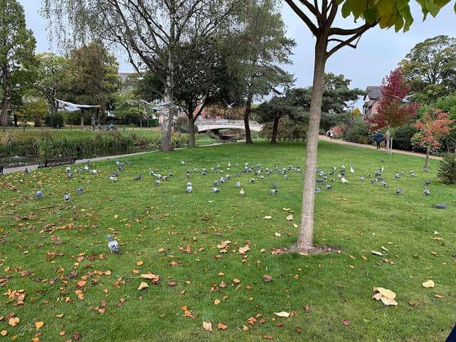 Victoria Park Aviary - Image 1