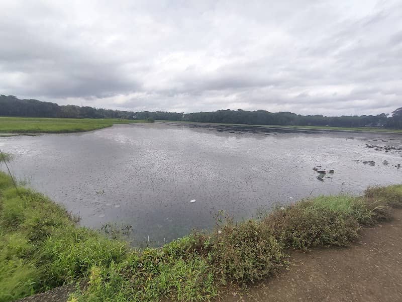 Bund Road View - Image 1