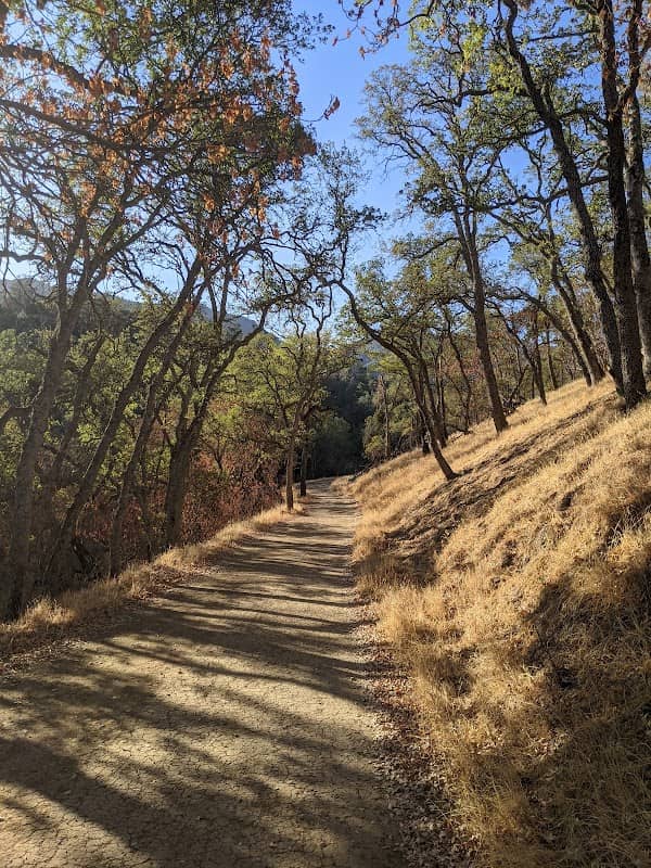 Mount Diablo State Park - Image 2