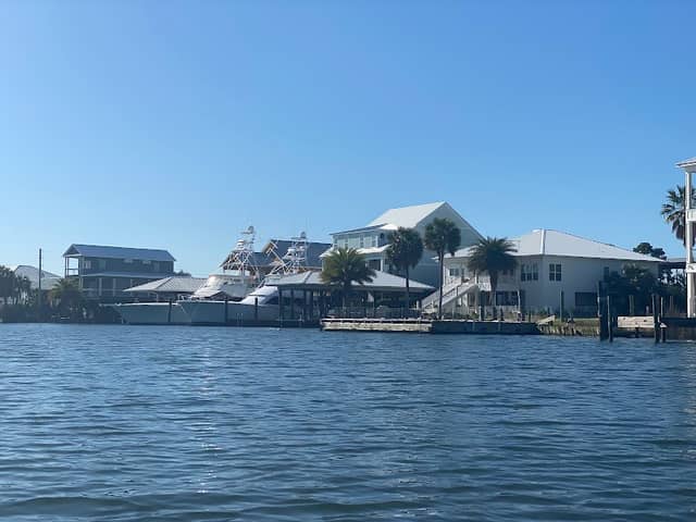 Bird Island - Image 1
