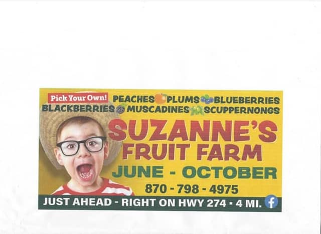 Suzanne's Fruit Farm - Image 1