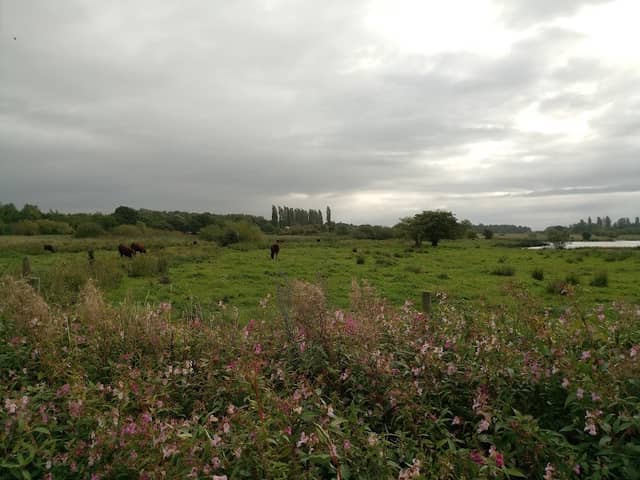 Abram Nature Reserve - Image 2
