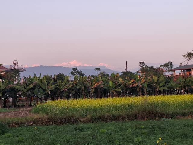 प्रकृतिटोल~भरतपुर-१६ - Image 1