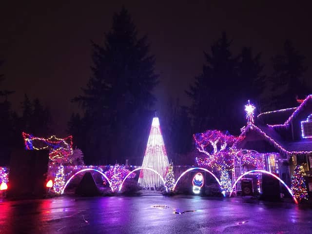 Maple Valley Lights - Image 1