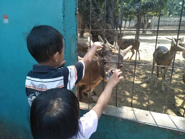 Kebun Binatang Tiara Mini Zoo - Image 1