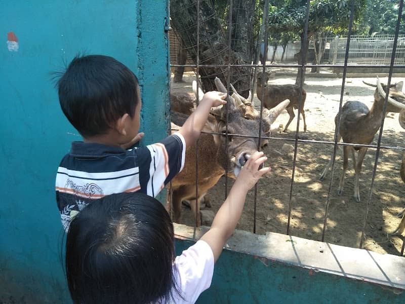 Kebun Binatang Tiara Mini Zoo - Image 1