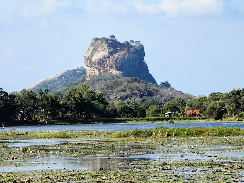 Elephant and sunset view point - Image 3