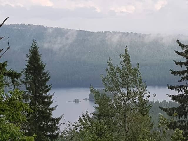 Verkkovaara, Koli - Image 1