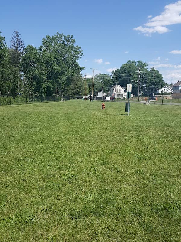 Clyde Dog Park - Image 1