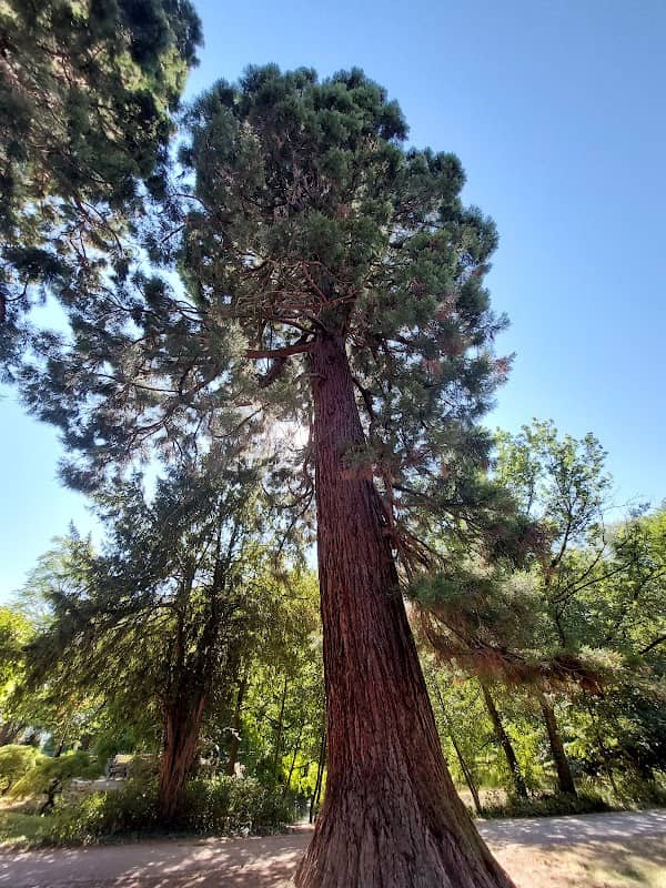 Watthalden Park - Image 2