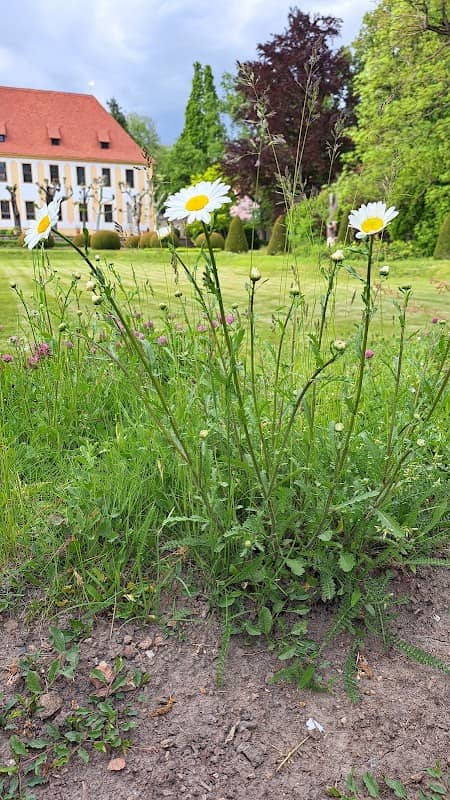 Malkurs Treffpunkt Schlosspark - Image 1