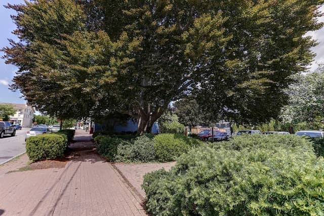 Copper Beech Park - Image 2