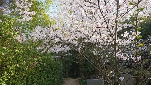 Hashihama Park - Image 2