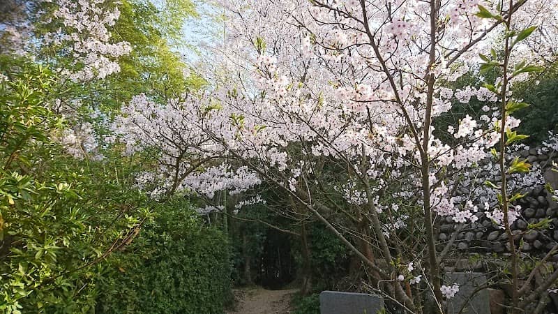 Hashihama Park - Image 2