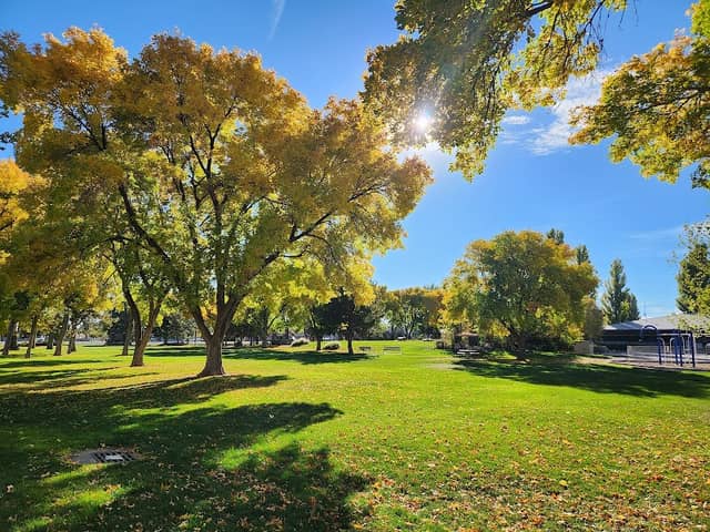 Delta City Park - Image 2