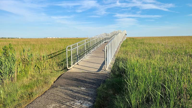 PSEG Estuary Enhancement Program Park - Image 1