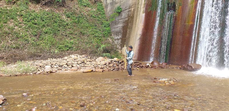 air terjun pine avenue - Image 1