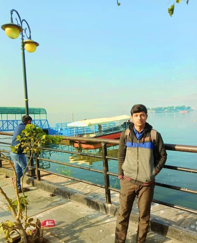 Anasagar Hanging Bridge - Image 2