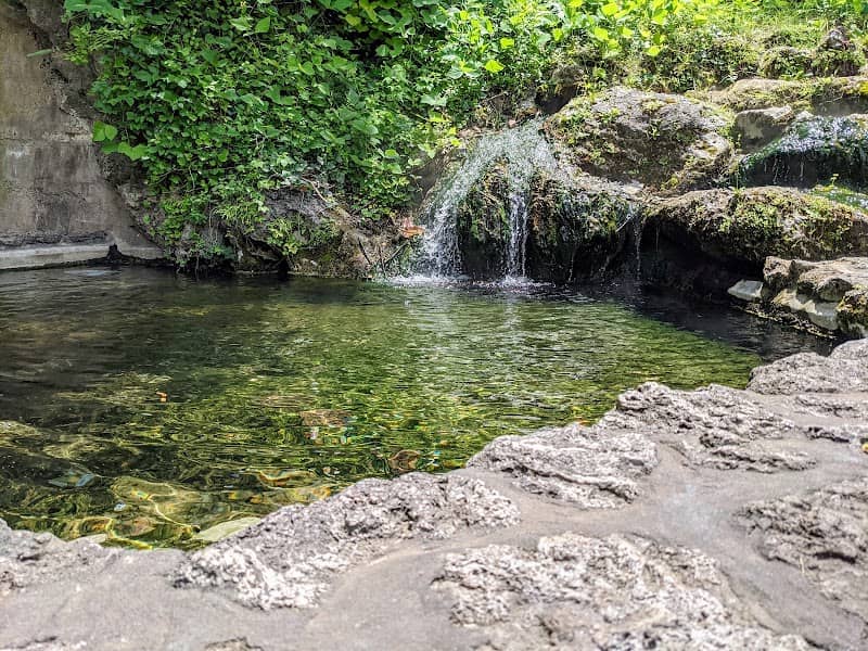 Hot Spring above Ground in Park - Image 2